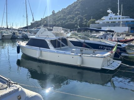 Bertram 31