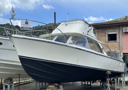 Bertram 31